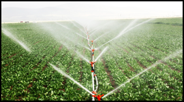 Irrigazione agricola area esterna Fontane interventi di ingegneria naturalistica outdoor